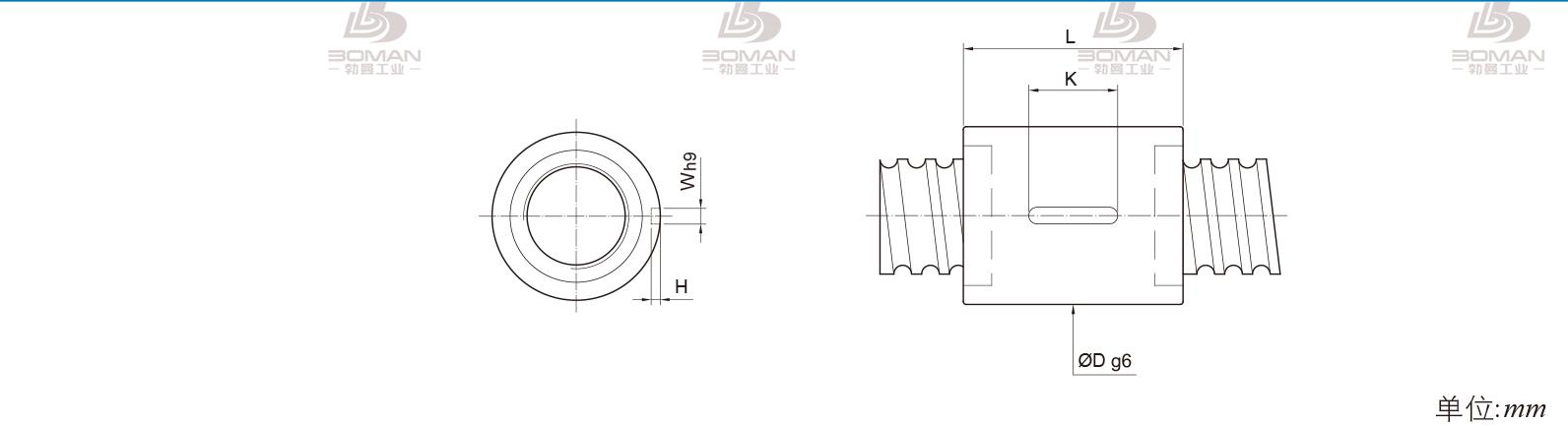PMI RSIC8010-6 pmi滚珠丝杠的轴环作用